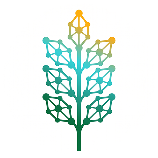 Dorada